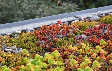 the cost of Compton Common green roof installation