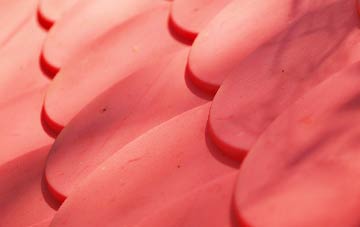 Compton Common plastic roof costs